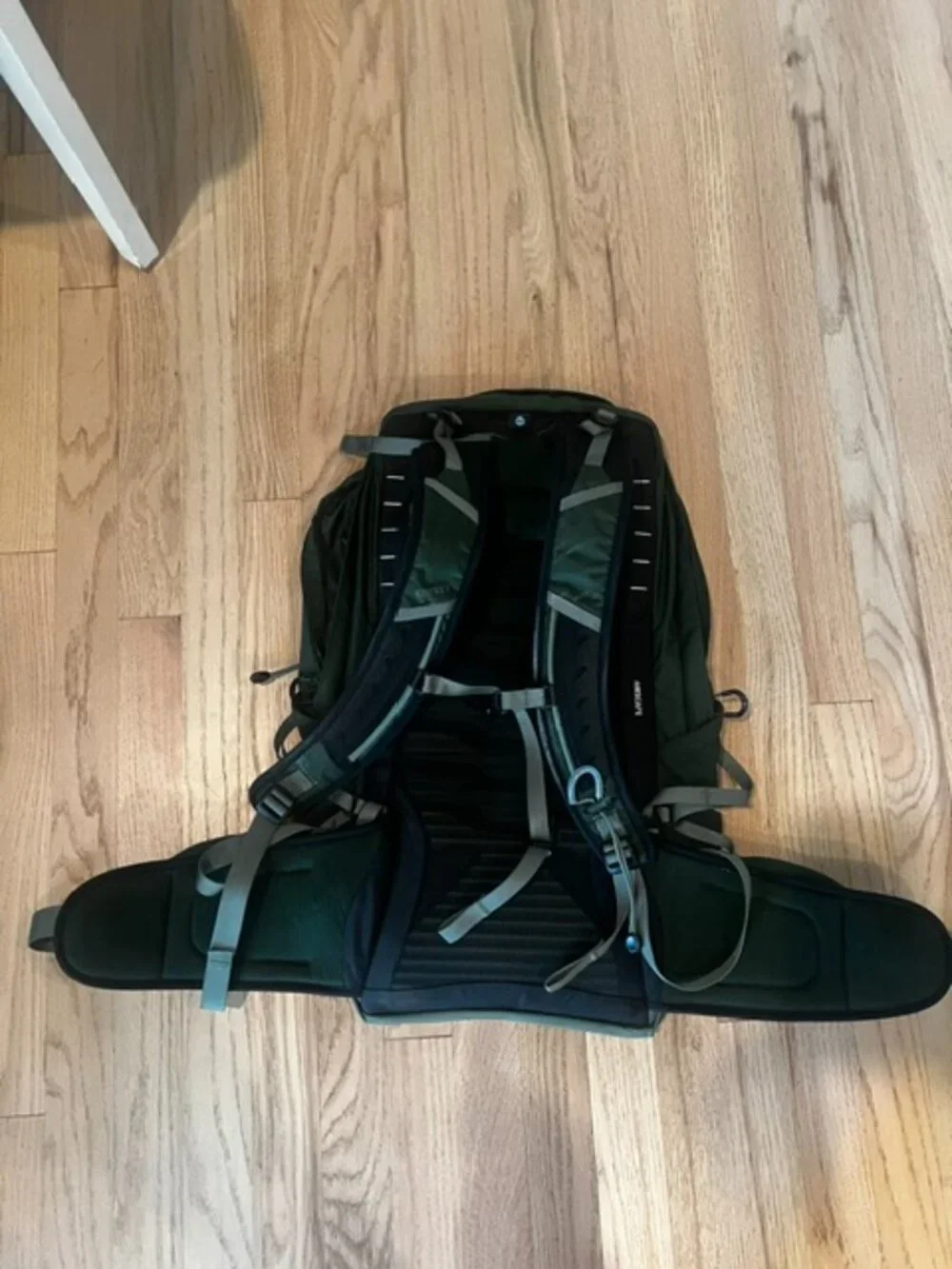 Osprey Talon 22 Hiking backpack